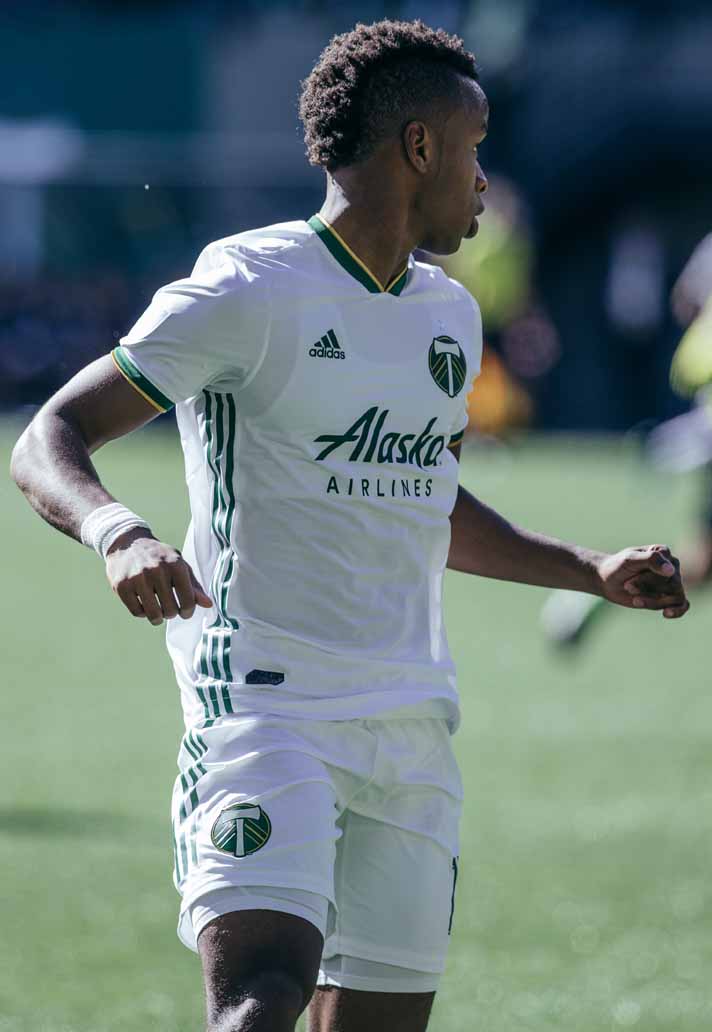 z10-framed-portland-timbers-min.jpg