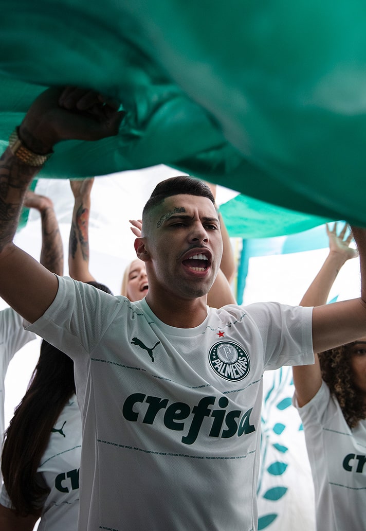 palmeiras 2-min.jpg