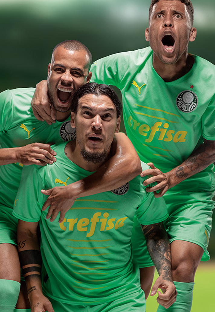 palmeiras 3.jpg