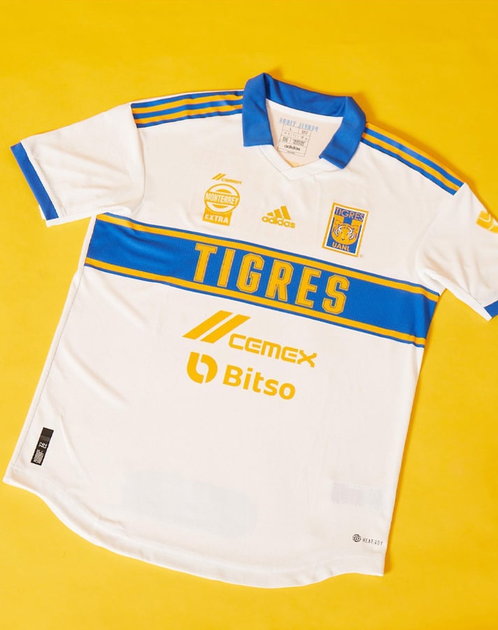 tigres 4-min.jpg