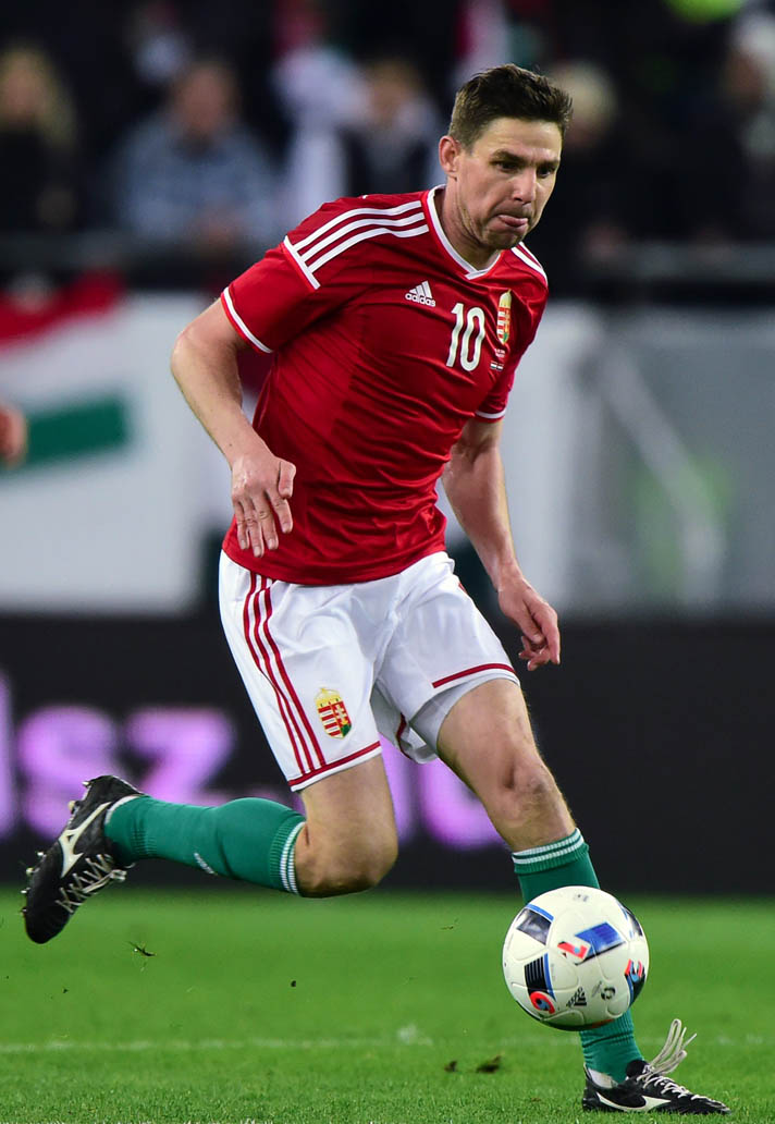 Zoltan Gera